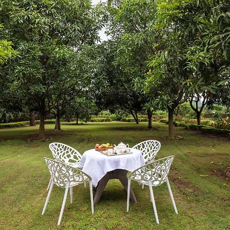 Stayvista'S Prakriti Farms With Outdoor Pool, Complimentary Breakfast And Hi-Tea Udajpur Zewnętrze zdjęcie