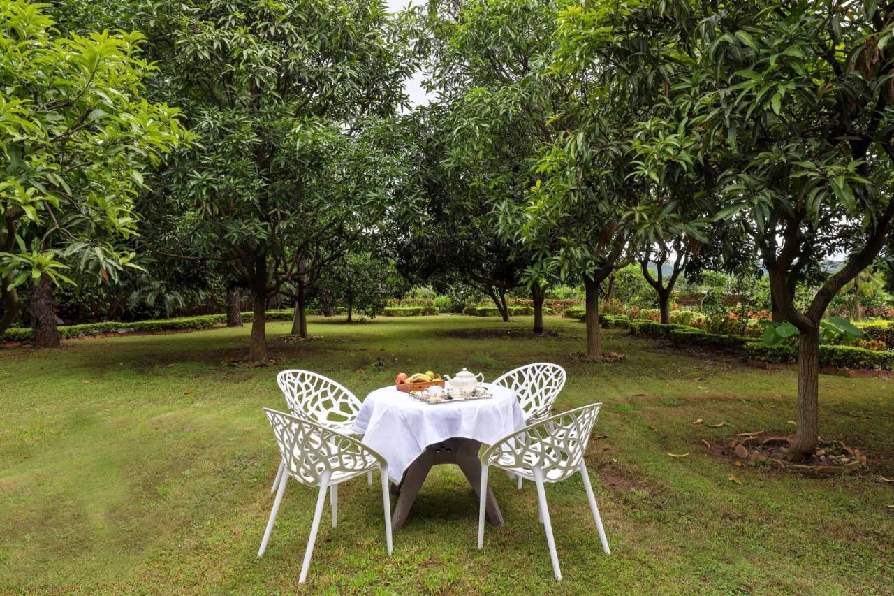 Stayvista'S Prakriti Farms With Outdoor Pool, Complimentary Breakfast And Hi-Tea Udajpur Zewnętrze zdjęcie